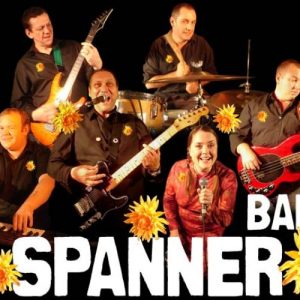 Spanner in the Works